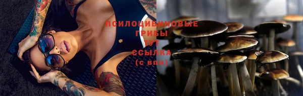 гашиш Нязепетровск