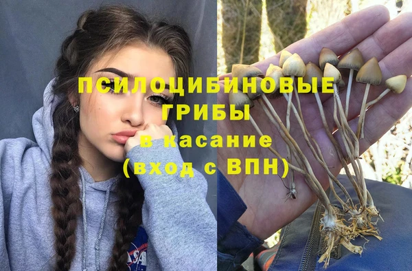 хмурый Зерноград