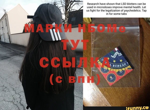 ГАЛЛЮЦИНОГЕННЫЕ ГРИБЫ Новокубанск