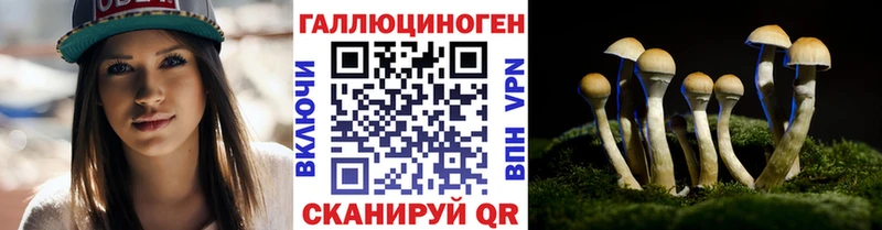 цена   Курильск  мега онион  Псилоцибиновые грибы Cubensis 